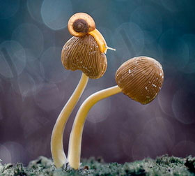 恶意发送验证短信